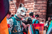 watermarked-67536d748d49e