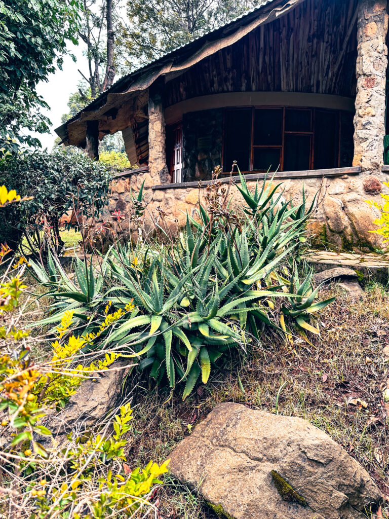 Naiberi River Campsite and Resort - Kaptagat, Eldoret, Kenya