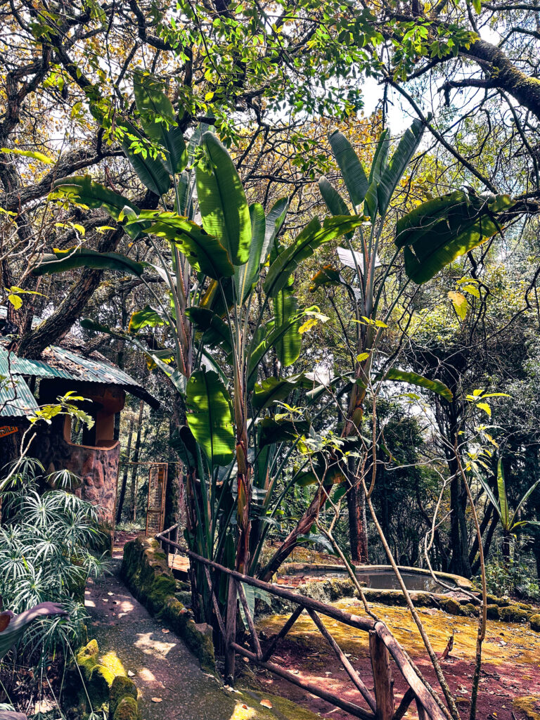 Naiberi River Campsite and Resort - Kaptagat, Eldoret, Kenya