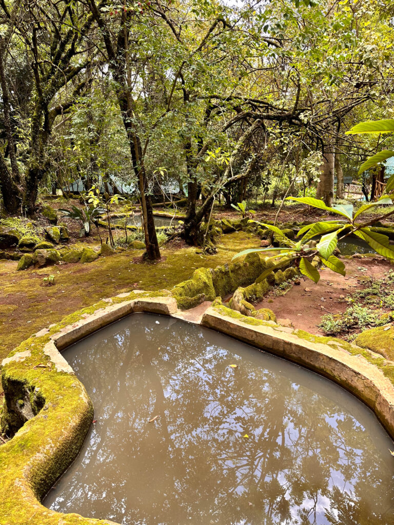 Naiberi River Campsite and Resort - Kaptagat, Eldoret, Kenya