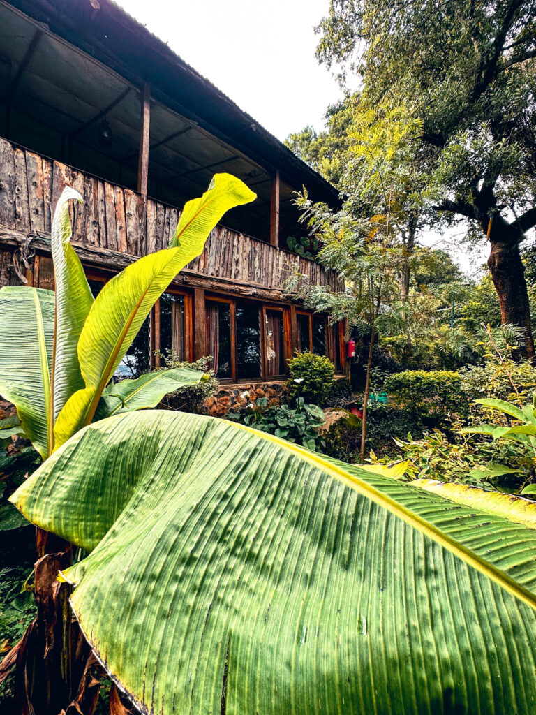 Naiberi River Campsite and Resort - Kaptagat, Eldoret, Kenya