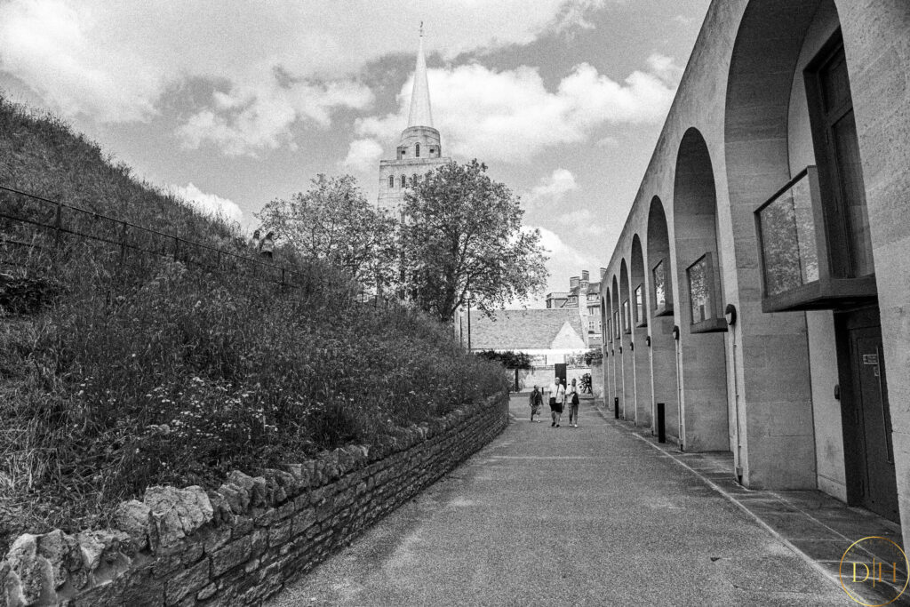 P1003596.jpg